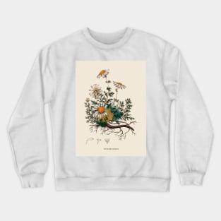 Camomile Antique Botanical Illustration Crewneck Sweatshirt